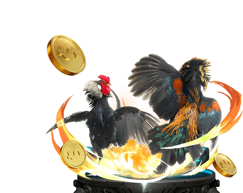 Các loại kèo đá gà tại Loto188